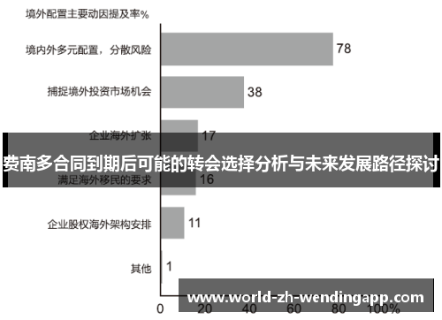 费南多合同到期后可能的转会选择分析与未来发展路径探讨 费南多合同到期后可能的转会选择分析与未来发展路径探讨