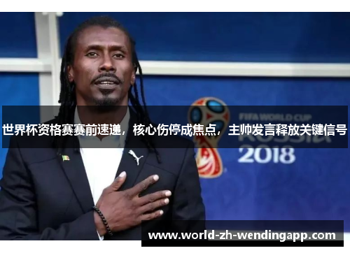 世界杯资格赛赛前速递，核心伤停成焦点，主帅发言释放关键信号