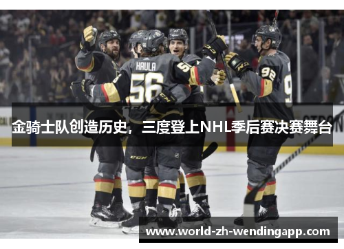 金骑士队创造历史,三度登上NHL季后赛决赛舞台 金骑士队创造历史,三度登上NHL季后赛决赛舞台